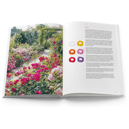 The Language of Flowers Book in German